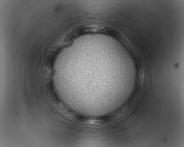 X0000116850657201001051507