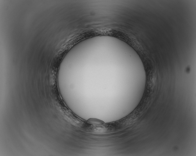 X0000116850658201001051507