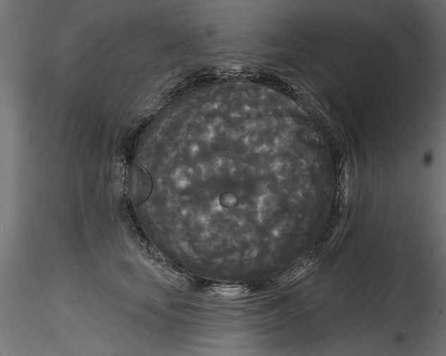 X0000116850659201001051507