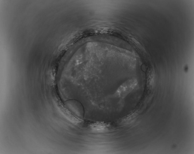 X0000116850661201001051507