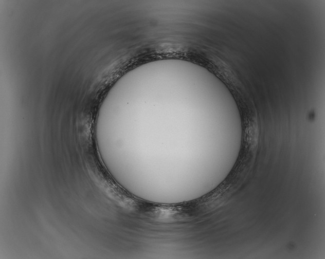 X0000116850662201001051507