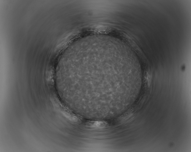 X0000116850663201001051507