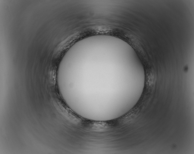 X0000116850666201001051507