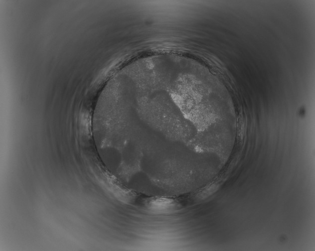 X0000116850669201001051507