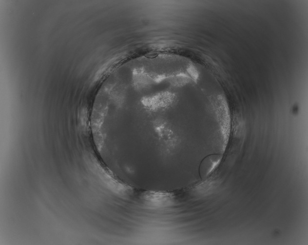 X0000116850670201001051507