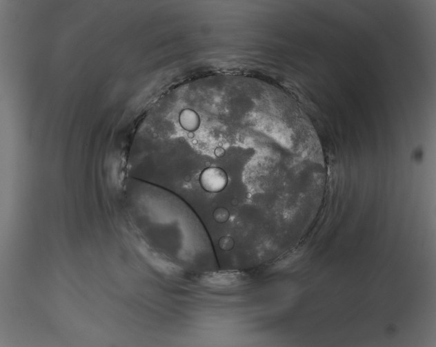 X0000116850671201001051507