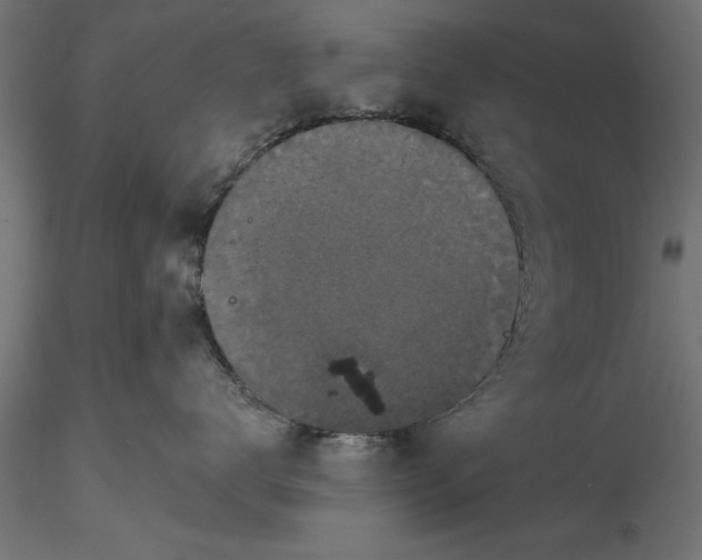 X0000116850672201001051507