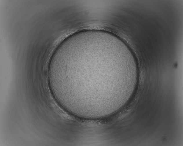 X0000116850673201001051507