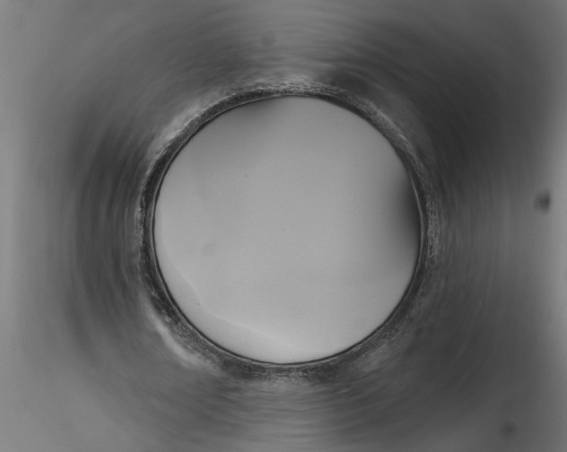 X0000116850674201001051507