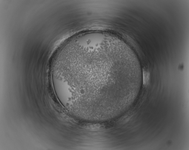 X0000116850675201001051507