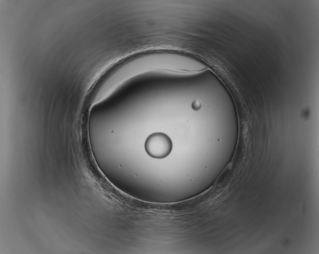 X0000116850676201001051507