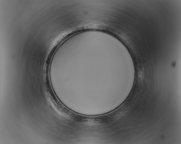 X0000116850678201001051507