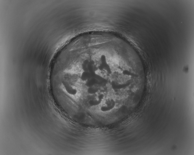 X0000116850679201001051506