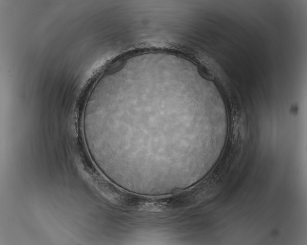 X0000116850680201001051506