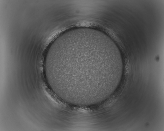 X0000116850683201001051506