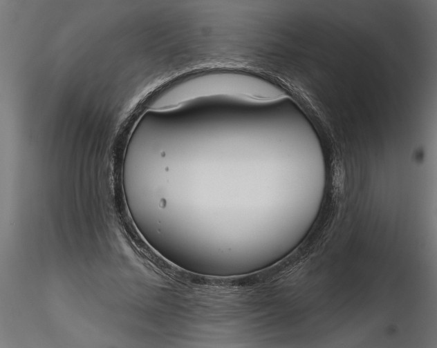 X0000116850684201001051506