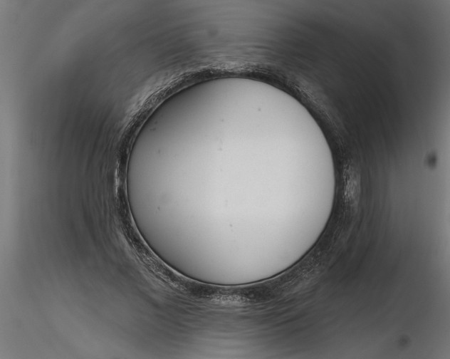 X0000116850685201001051506