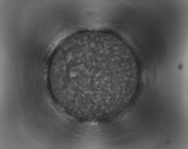 X0000116850687201001051506