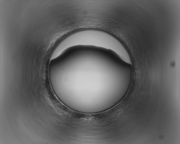 X0000116850688201001051506