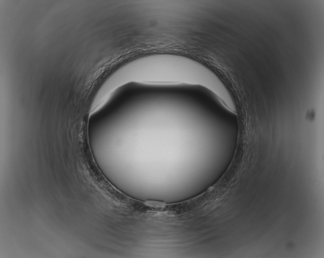 X0000116850689201001051506