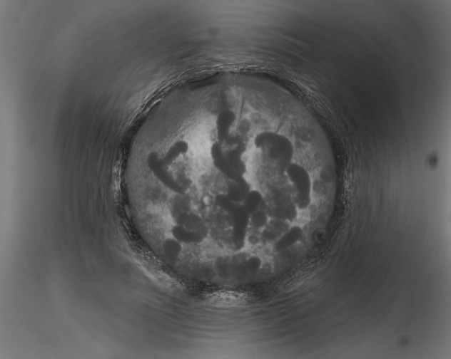 X0000116850691201001051506