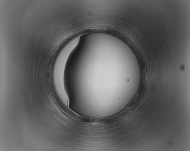 X0000116850692201001051506