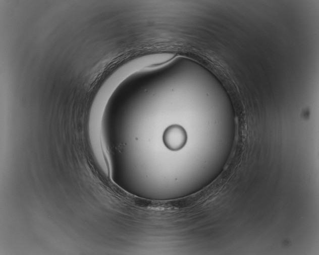 X0000116850693201001051506