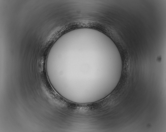 X0000116850694201001051506