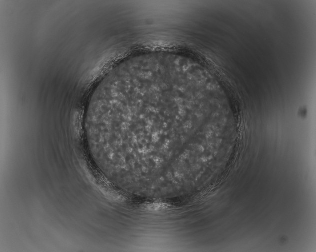 X0000116850695201001051506