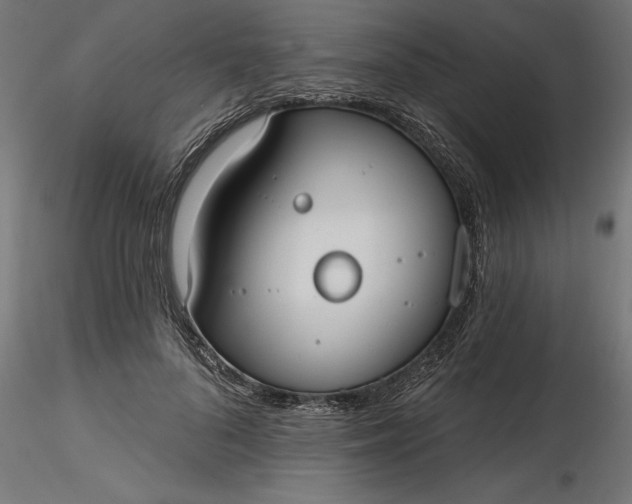 X0000116850696201001051506