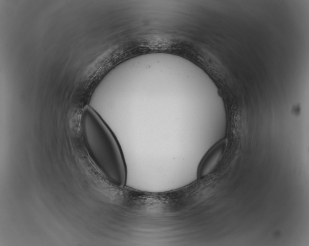 X0000116850697201001051506