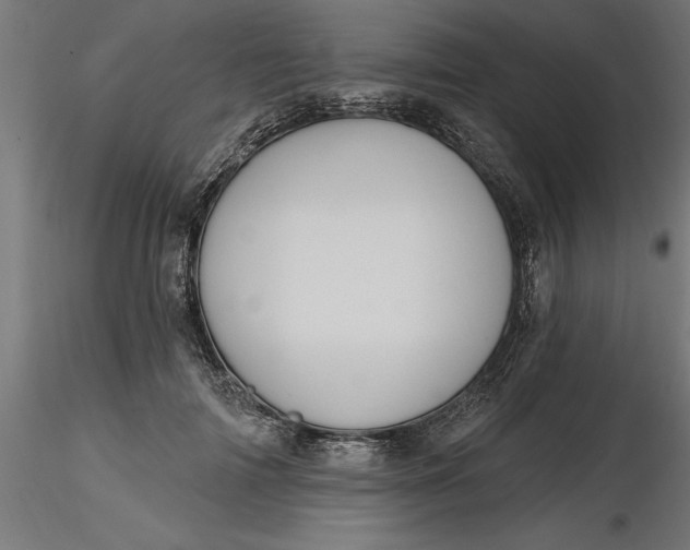 X0000116850698201001051506