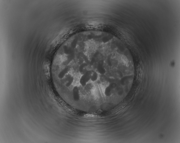 X0000116850699201001051506