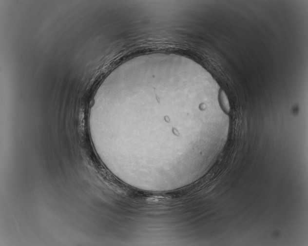 X0000116850700201001051506