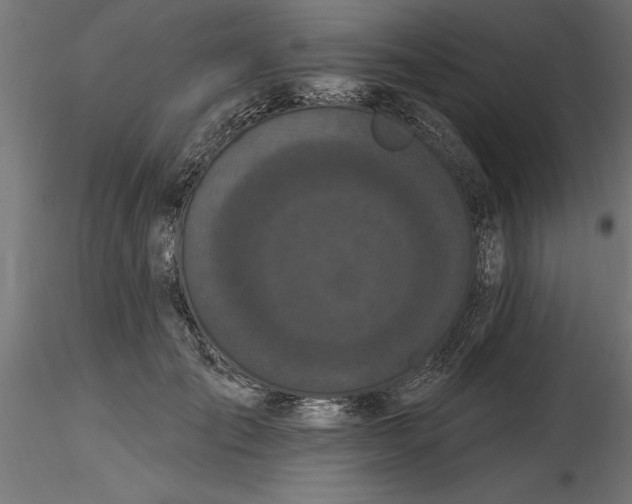 X0000116850701201001051506