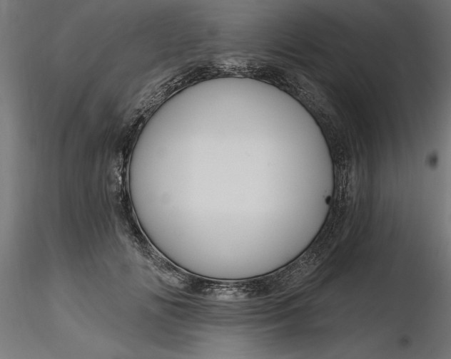 X0000116850702201001051506