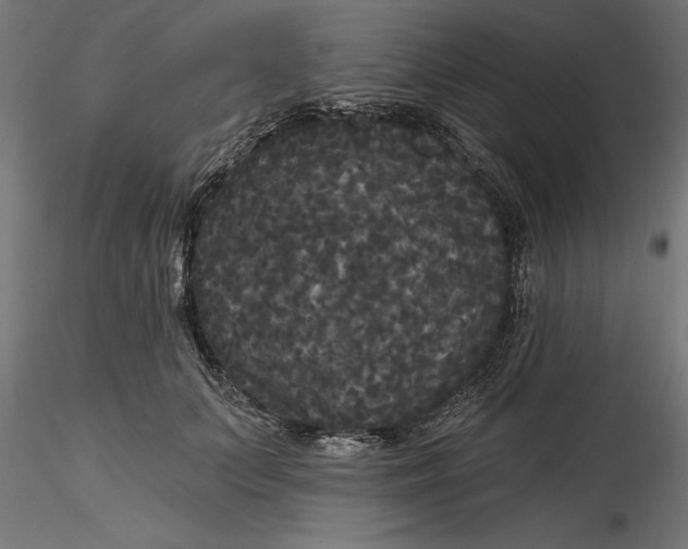 X0000116850703201001051506