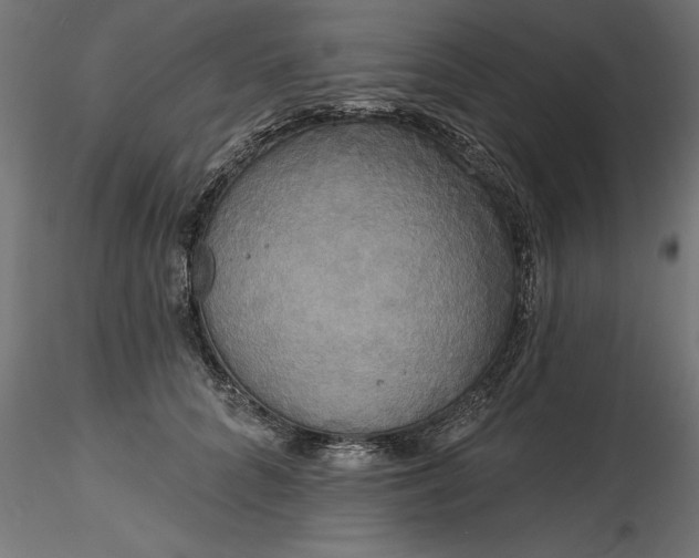 X0000116850704201001051506