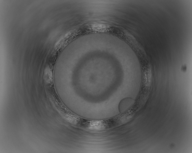 X0000116850705201001051506