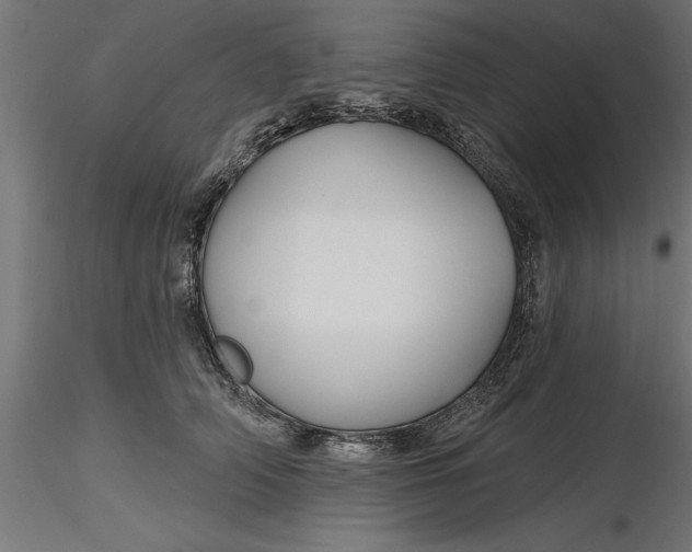 X0000116850706201001051506