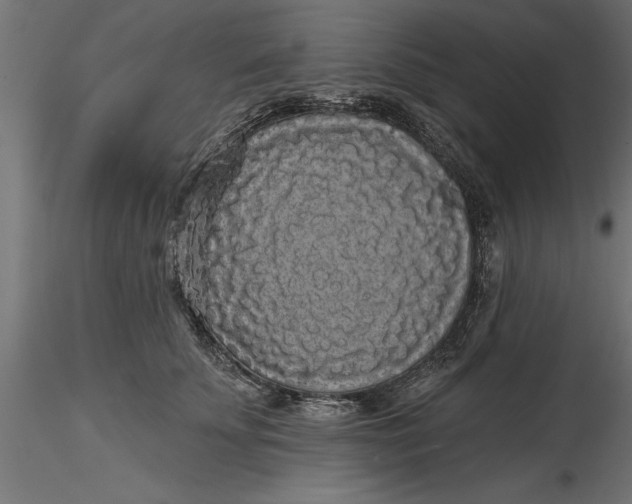 X0000116850707201001051506