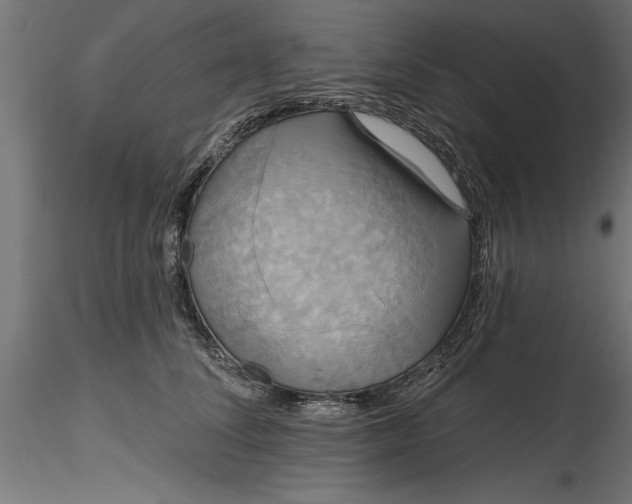 X0000116850708201001051506