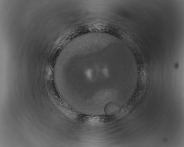 X0000116850709201001051506