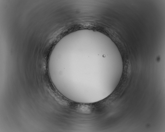 X0000116850710201001051506