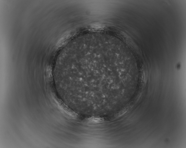 X0000116850711201001051506