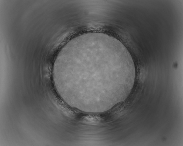 X0000116850712201001051506