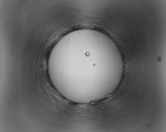 X0000116850713201001051506