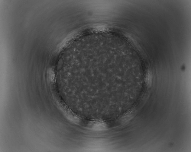 X0000116850715201001051506