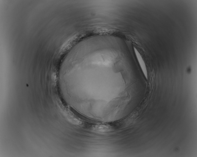 X0000116850716201001051506