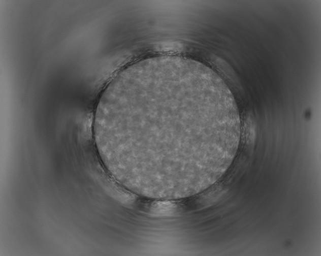 X0000116850717201001051506